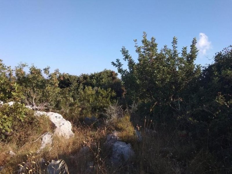 Kokkino Chorio Kreta, Kokkino Chorio: Grundstück mit Panoramablick auf die Landschaft zu verkaufen Grundstück kaufen